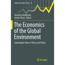 The Economics of the Global Environment: Catastrophic Risks in Theory and Policy