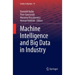 Machine Intelligence and Big Data in Industry