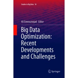 Big Data Optimization: Recent Developments and Challenges