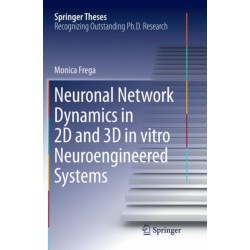 Neuronal Network Dynamics in 2D and 3D in vitro Neuroengineered Systems