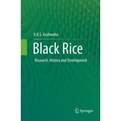 Black Rice: Research, History and Development