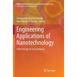 Engineering Applications of Nanotechnology: From Energy to Drug Delivery