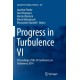 Progress in Turbulence VI: Proceedings of the iTi Conference on Turbulence 2014