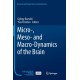 Micro-, Meso- and Macro-Dynamics of the Brain