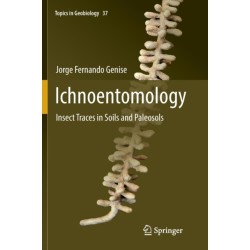 Ichnoentomology: Insect Traces in Soils and Paleosols