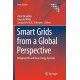 Smart Grids from a Global Perspective: Bridging Old and New Energy Systems