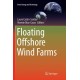 Floating Offshore Wind Farms
