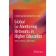 Global Co-Mentoring Networks in Higher Education: Politics, Policies, and Practices
