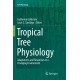 Tropical Tree Physiology: Adaptations and Responses in a Changing Environment