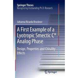 A First Example of a Lyotropic Smectic C* Analog Phase: Design, Properties and Chirality Effects