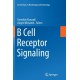B Cell Receptor Signaling