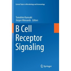 B Cell Receptor Signaling
