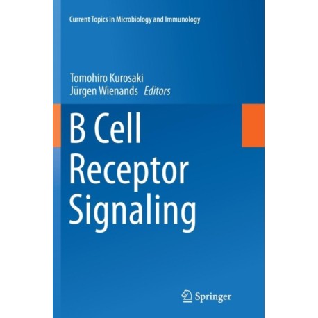 B Cell Receptor Signaling