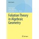 Foliation Theory in Algebraic Geometry