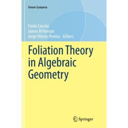 Foliation Theory in Algebraic Geometry