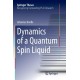 Dynamics of a Quantum Spin Liquid