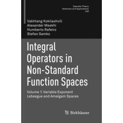 Integral Operators in Non-Standard Function Spaces: Volume 1: Variable Exponent Lebesgue and Amalgam Spaces
