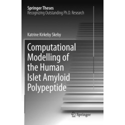 Computational Modelling of the Human Islet Amyloid Polypeptide