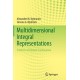 Multidimensional Integral Representations: Problems of Analytic Continuation