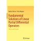 Fundamental Solutions of Linear Partial Differential Operators: Theory and Practice