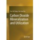 Carbon Dioxide Mineralization and Utilization