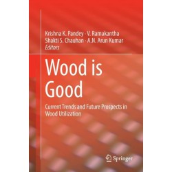 Wood is Good: Current Trends and Future Prospects in Wood Utilization