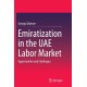 Emiratization in the UAE Labor Market: Opportunities and Challenges