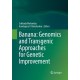 Banana: Genomics and Transgenic Approaches for Genetic Improvement