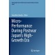 Micro-Performance During Postwar Japan’s High-Growth Era