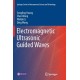 Electromagnetic Ultrasonic Guided Waves