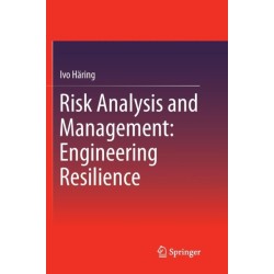 Risk Analysis and Management: Engineering Resilience