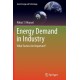 Energy Demand in Industry: What Factors Are Important?