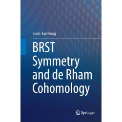 BRST Symmetry and de Rham Cohomology