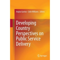 Developing Country Perspectives on Public Service Delivery