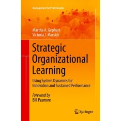 Strategic Organizational Learning: Using System Dynamics for Innovation and Sustained Performance