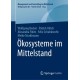Okosysteme im Mittelstand