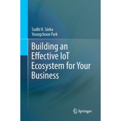 Building an Effective IoT Ecosystem for Your Business