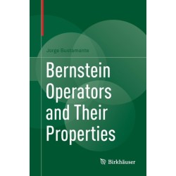 Bernstein Operators and Their Properties