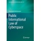 Public International Law of Cyberspace