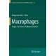 Macrophages: Origin, Functions and Biointervention