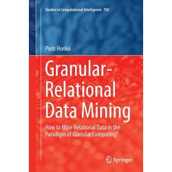 Granular-Relational Data Mining: How to Mine Relational Data in the Paradigm of Granular Computing?