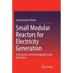 Small Modular Reactors for Electricity Generation: An Economic and Technologically Sound Alternative