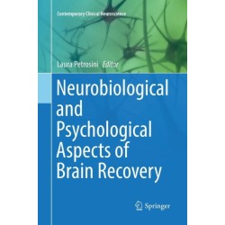 Neurobiological and Psychological Aspects of Brain Recovery
