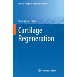 Cartilage Regeneration