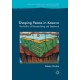 Shaping Peace in Kosovo: The Politics of Peacebuilding and Statehood