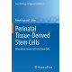 Perinatal Tissue-Derived Stem Cells: Alternative Sources of Fetal Stem Cells