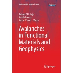 Avalanches in Functional Materials and Geophysics