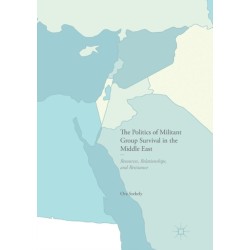 The Politics of Militant Group Survival in the Middle East: Resources, Relationships, and Resistance