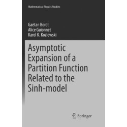 Asymptotic Expansion of a Partition Function Related to the Sinh-model