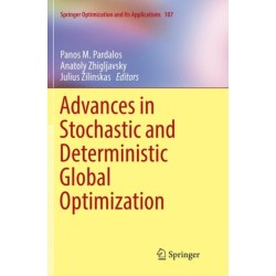Advances in Stochastic and Deterministic Global Optimization